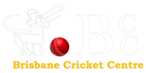 brisbane-cricket-centre-log