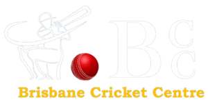 brisbane-cricket-centre-log